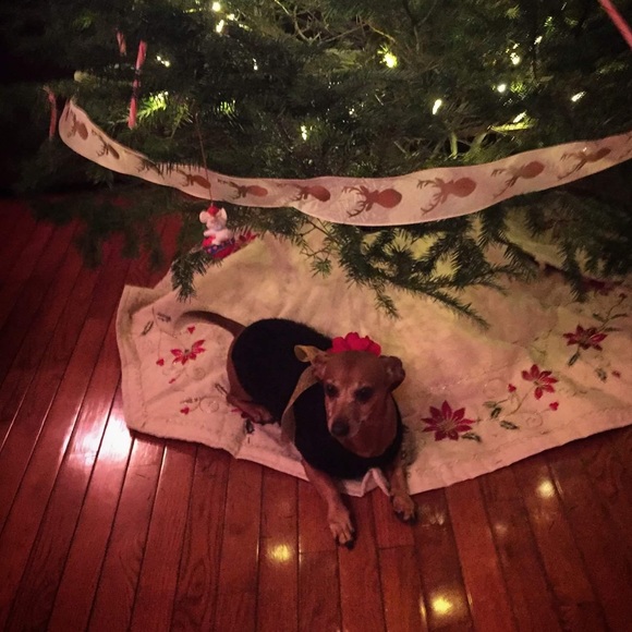 Assistant Posher, Novella - Picture 6 of 6